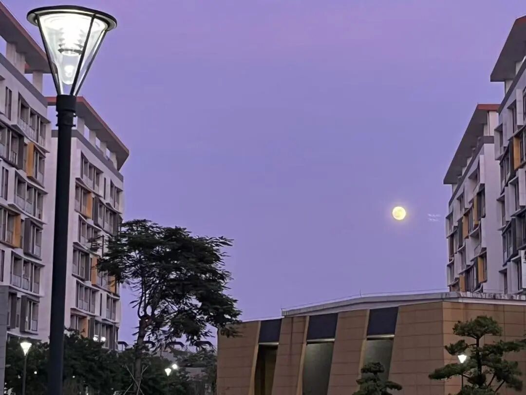 微信图片_2025-10-16_140828_373