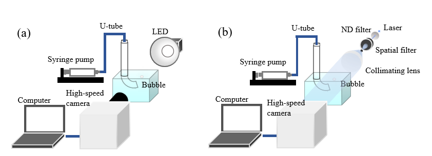 Effects Of Impurities On The Bursting Dynamics Of Large Bubbles – Li ...