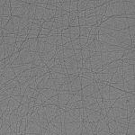 20221212_16.67mMCpyCl_11mMDiclo_PR