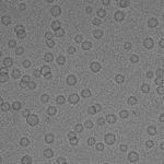 CHEO10-C12EO3_Orange8_IMAGES_PR