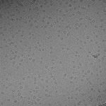 CHEO10-C12EO3_Orange8_IMAGES_PR