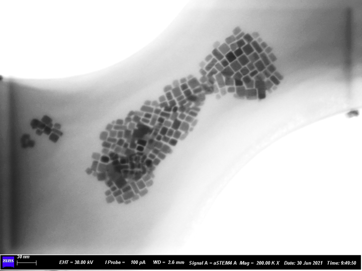 Scanning Electron Microscope – Electron Microscope Center